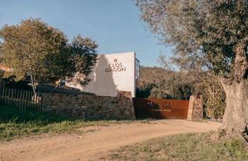 Enoturismo en la Costa Brava: experiencias que unen el mar y la viña
