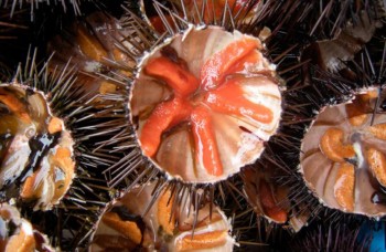 Gastronomía_1